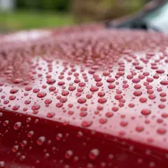 Water beading on a coated hood