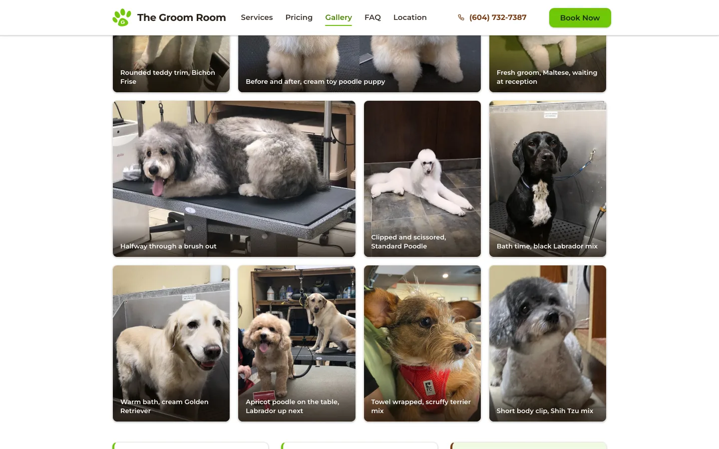 The Groom Room gallery showing before/after grooming transformations of various dog breeds.